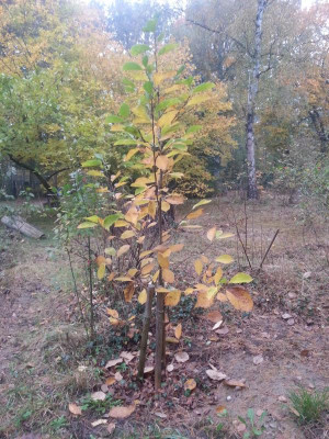 20161024_093057.jpg