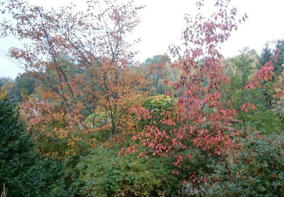 _20161024_192054.JPG