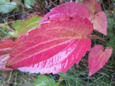 161024_03.JPG