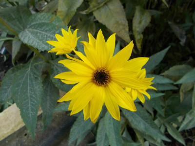 2016-10-19 10.24.36.jpg