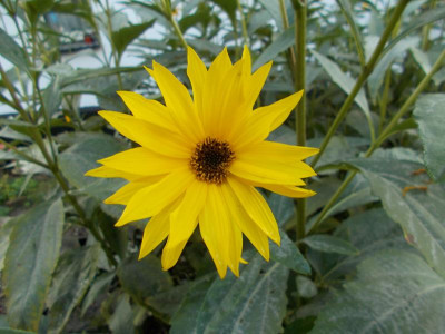 2016-10-19 10.24.54.jpg