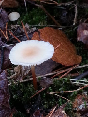 20161026_091245.jpg