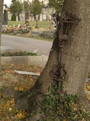 2006-10-30-er-br_077.jpg