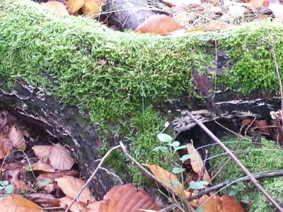 20161026_091139.jpg