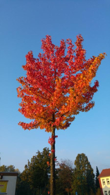 20161025_165811.jpg