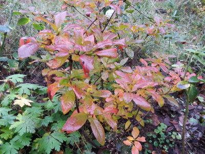 20161026_090401.jpg