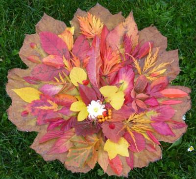 2016-10-27 Herbst.jpg