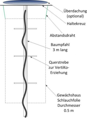 Vertiko_Erziehung.jpg
