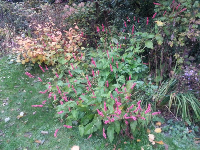 20161024_091446.jpg