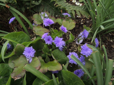 DSCN9989_1815.JPG