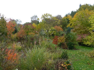 2016-10-29 Gartenimpressionen 1.jpg