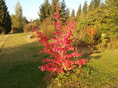 20161029_171212.jpg