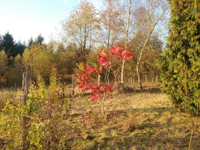 20161029_171553.jpg