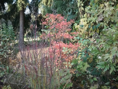20161029_171923.jpg