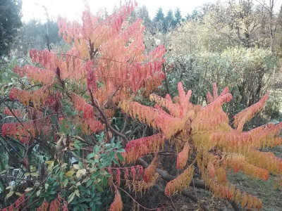 20161029_171420.jpg