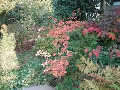 20161029_171808.jpg