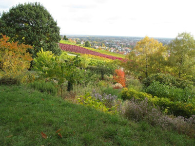 Prärie Aussicht 20161029_01.jpg