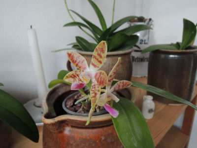 DSCN2162_1822.JPG