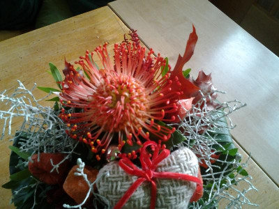 20161030_090529.jpg