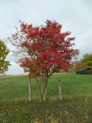 2016-10-30 11.51.21.jpg