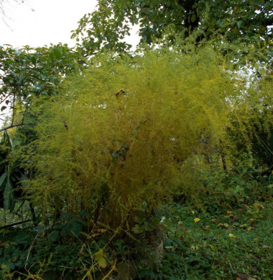 2016-10-30 11.44.23.jpg
