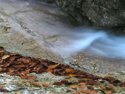 krems_wasser_pol1.jpg