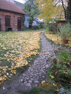 Hof im Oktober 2016 002.jpg