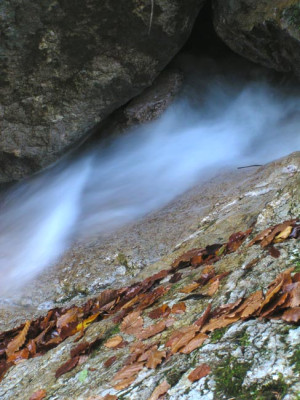 krems_wasser_pol2.jpg