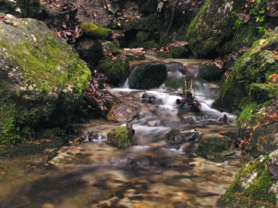 krems_wasser_pol4.jpg