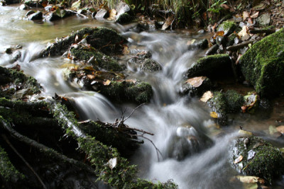Bach-Polfilter-3.jpg