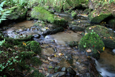 Bach-Polfilter-2.jpg