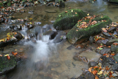 Bach-Polfilter-1.jpg