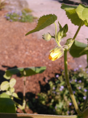 20160925_003.jpg