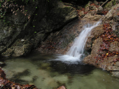 krems_wasser_pol7.jpg