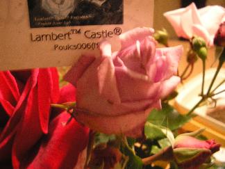 Lampert_Castle_Oktober06.jpg