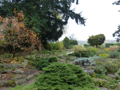 2016-10-31 Foerstergarten 2.jpg