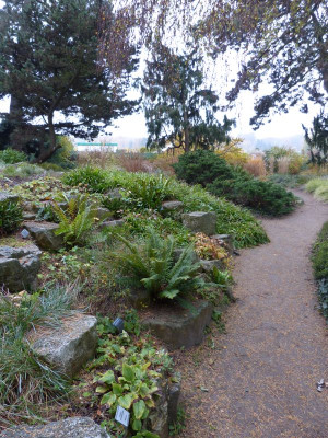 2016-10-31 Foerstergarten 3.jpg