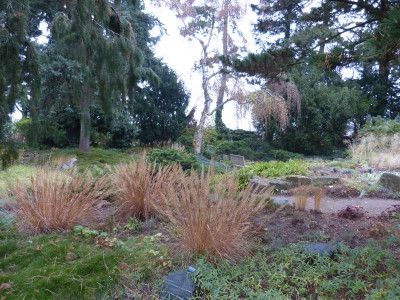 2016-10-31 Foerstergarten 4.jpg
