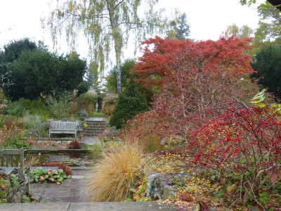 2016-10-31 Foerstergarten 7.jpg