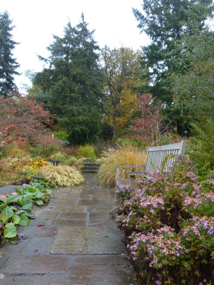 2016-10-31 Foerstergarten 8.jpg