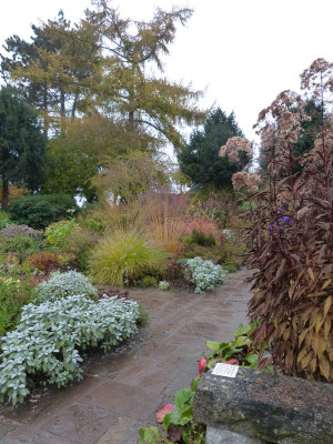 2016-10-31 Foerstergarten 9.jpg