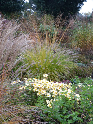 2016-10-31 Foerstergarten 10.jpg