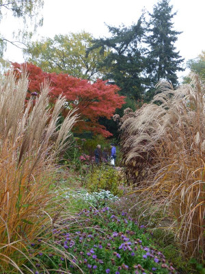 2016-10-31 Foerstergarten 11.jpg