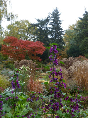 2016-10-31 Foerstergarten 13.jpg