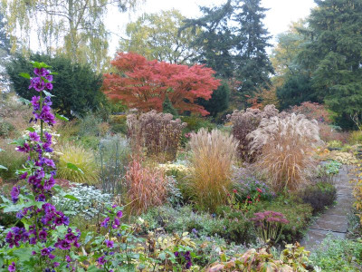 2016-10-31 Foerstergarten 14.jpg