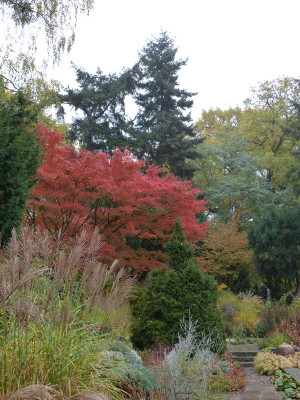 2016-10-31 Foerstergarten 16.jpg