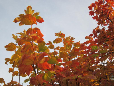161101_22.JPG
