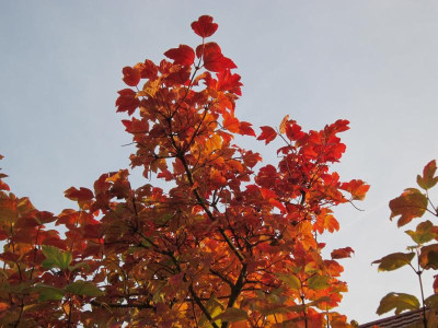 161101_23.JPG