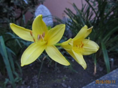 IMG_2609 small.jpg