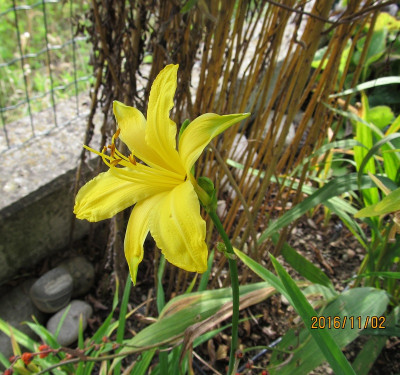 IMG_2664 small.jpg